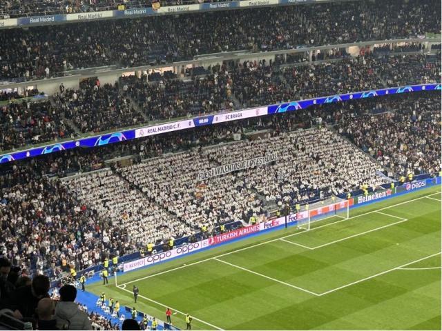 1699497317493054730.jpg 1699496934459.jpg